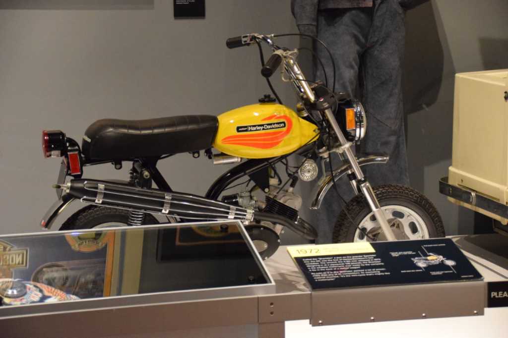 DSC_0073Mittel_.JPG